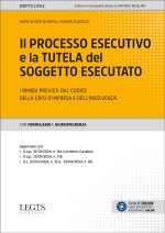 Il processo esecutivo e la tutela del soggetto esecutato