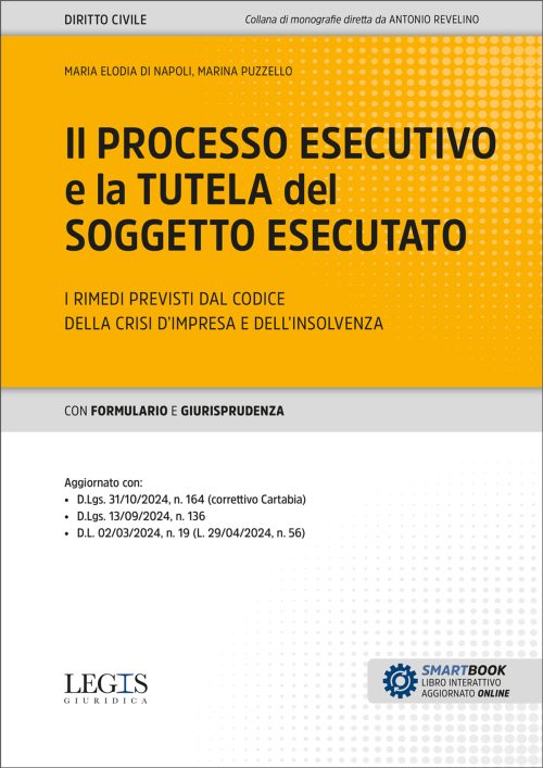 Il processo esecutivo e la tutela del soggetto esecutato